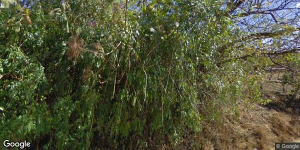 SUPERVISIÓN ESCOLAR